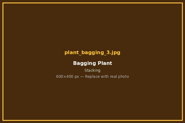 Bagging 3