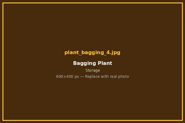 Bagging 4